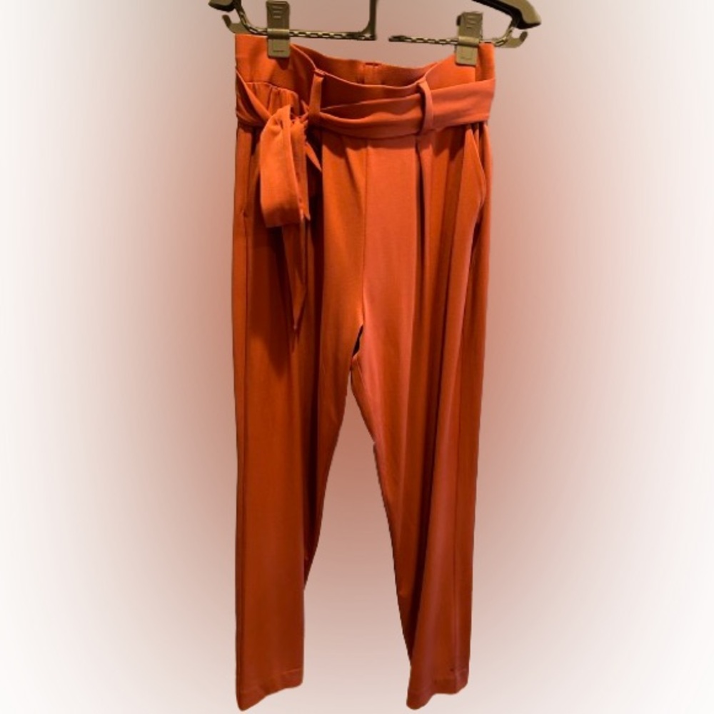 Express flowy pant